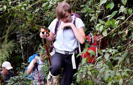 Hikking/Trekking to Adam’s peak and Wilderness sanctuary.