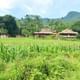 Pu Luong 2 Days 1 Night Tour from Hanoi