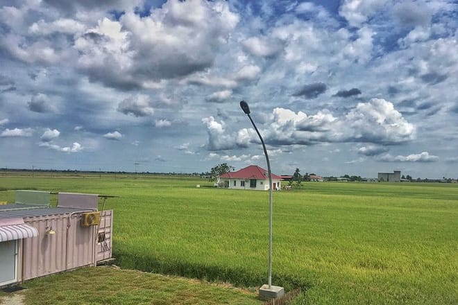Paddy Field, Fishing Village Sekinchan DAY Tour Lunch (SIC-Shared/Join In Tour) 3