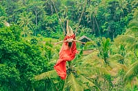 Private Full Day Tour to Ubud Highlights with Giant Swing 10