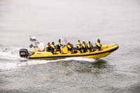Whale  Watching from Downtown Reykjavik by RIB Speedboat  7