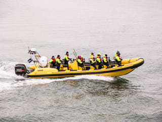 Puffin Tour by RIB Speedboat from Downtown Reykjavik, photo 6
