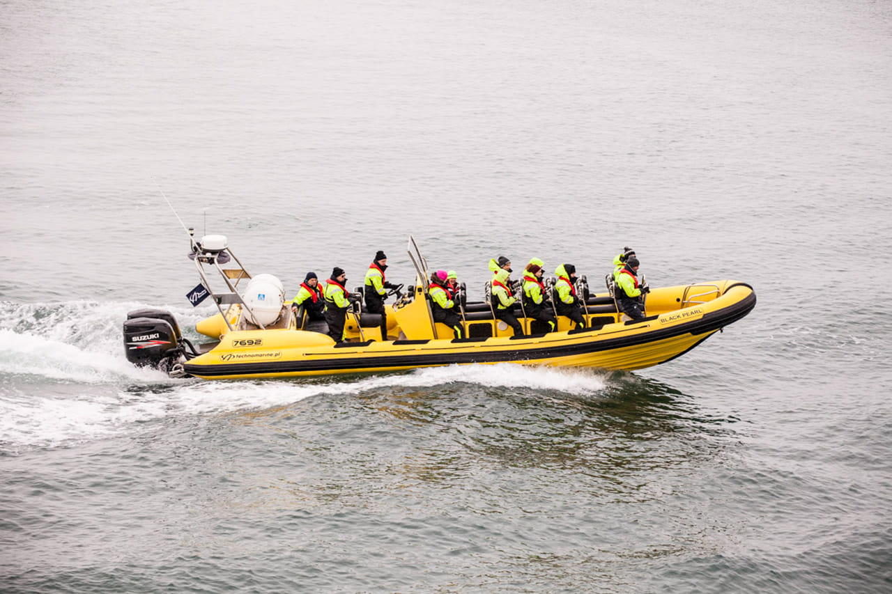 Whale  Watching from Downtown Reykjavik by RIB Speedboat  7