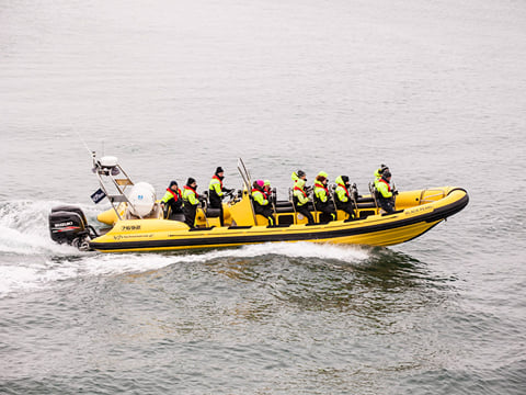 Whale Watching from Downtown Reykjavik by RIB Speedboat , photo 7