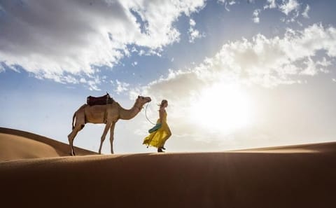 3-Day Desert Discovery: Marrakech to Fes Odyssey via Merzouga