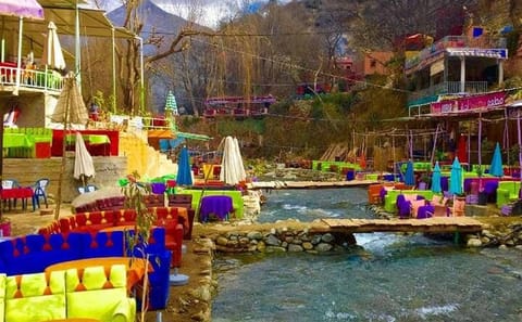 Small Group Day Trip to Atlas Mountains and Ourika Valley from Marrakech