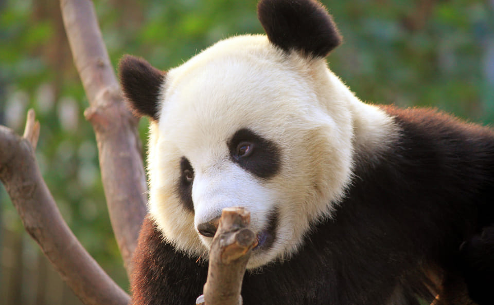 Classic 3-Day Beijing Private Tour: Beijing Essentials