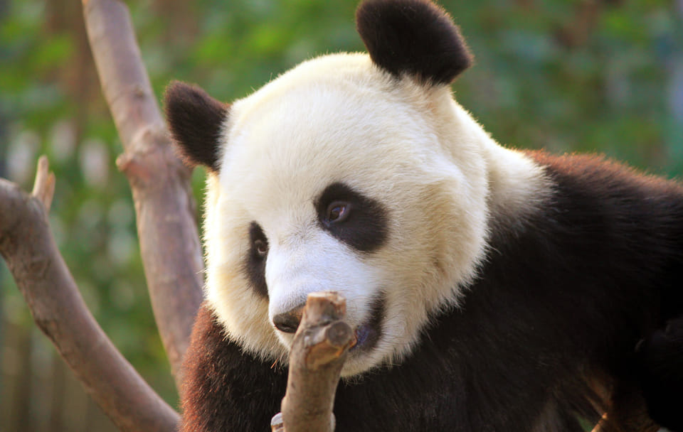 Classic 3-Day Beijing Private Tour: Beijing Essentials