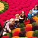 Small Group Of 9 Tour From Hanoi to Incense Village and Ninh Binh