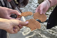 Private Walking Food Tour in Amsterdam 8