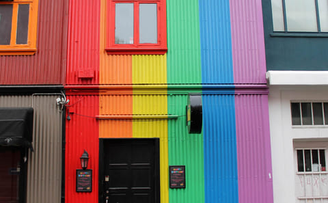 Private LGBTQ+ Cultural Walking Tour in Reykjavik