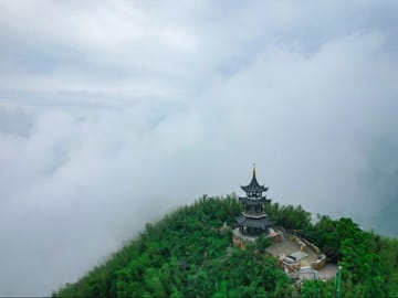 Shanghai: Yixing Bamboo Sea & Zisha Teapot Cultural Trip
