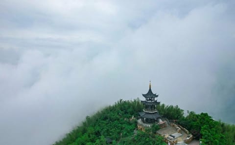 Yixing Bamboo Sea and Zisha Teapot Cultural Experience from Shanghai