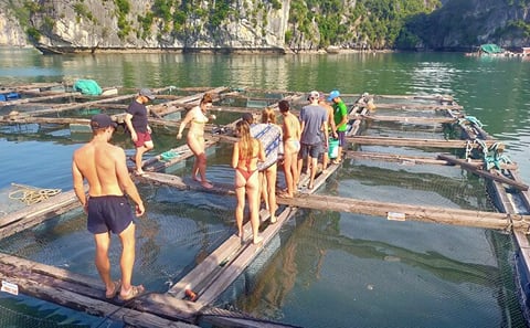 From Ha Noi/Cat Ba: Full-Day Cruise to Lan Ha bay – Ha Long Bay