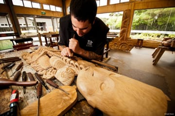 Rotorua: Te Puia Geothermal Park and Maori Cultural Tour
