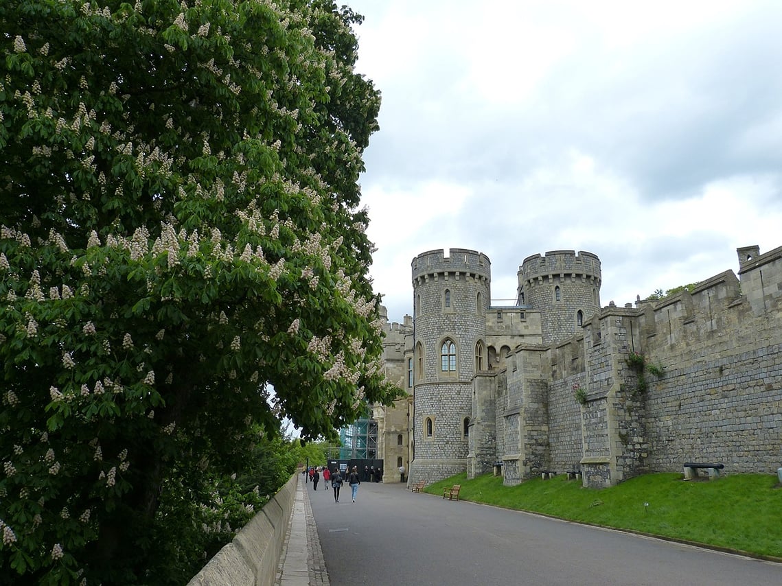 Windsor Castle Hampton Court palace Private Tour with Ticket 6