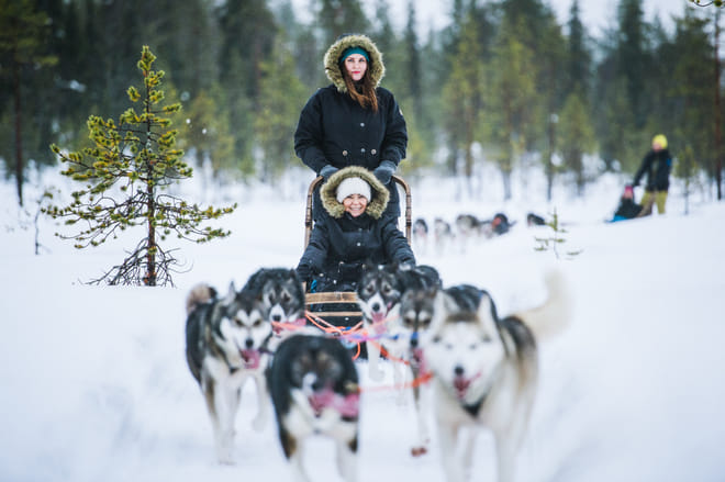 Visit a Husky Farm and Husky Safari from Kemi - Kemi photo 3