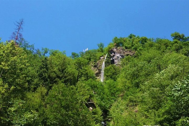 Borjomi Central Park