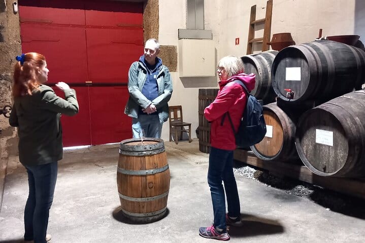 DOURO VALLEY & AMARANTE: Scenic or Wine Experience Private Tour