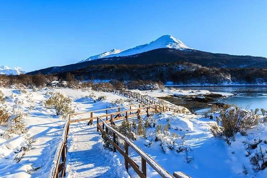 Ushuaia, Tierra del Fuego National Park - Half day