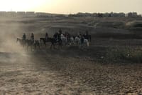 Horse Riding Tour Two Hours Sun &amp; Sea With Transfer - Hurghada