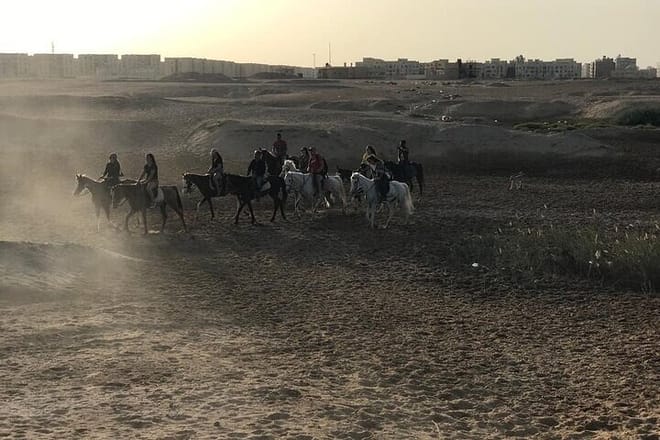 Horse Riding Tour Two Hours Sun &amp; Sea With Transfer - Hurghada