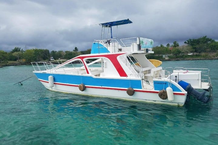 5 tours in 1 (Eco Farm/Horseback/City Tour/Buggy/Zipline)