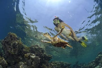 Snorkeling and Fishing Tour at Lovely Island, Hurghada