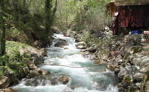 Alanya Sapadere Canyon Day Tour with Lunch and Hotel Transfer