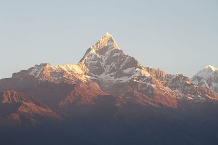 8 Days Highlights of Nepal Tour with Kathmandu, Pokhara & Chitwan National Park