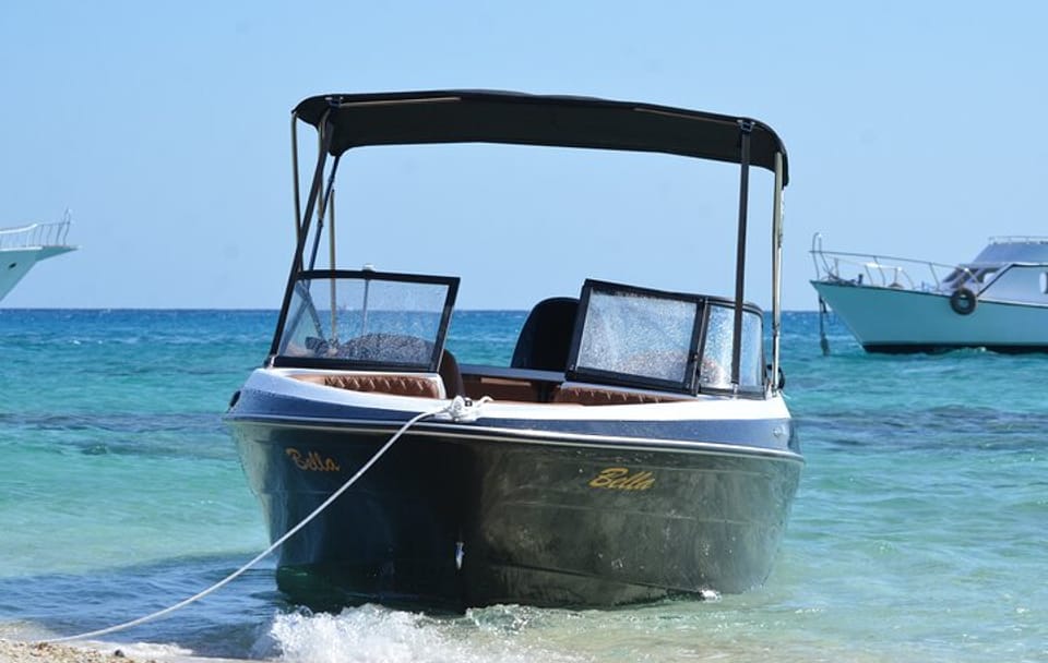 Private Speedboat Dolphin Watching & Snorkeling in Hurghada