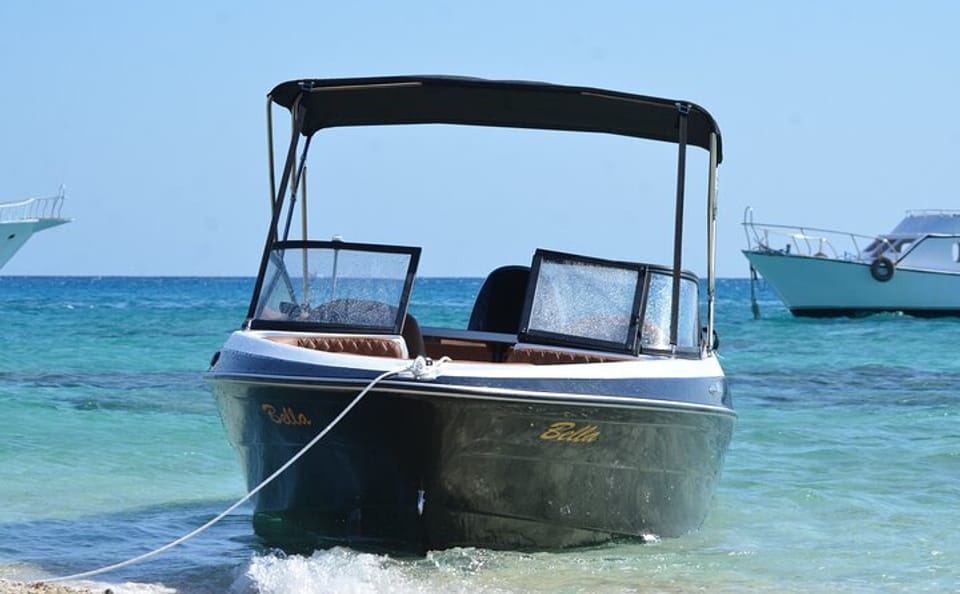 Private Dolphin Watching and Snorkeling Tour in Hurghada
