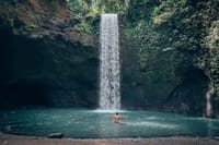Bali Blue Lagoon Snorkeling with Lunch & Private Hotel Transfer 8