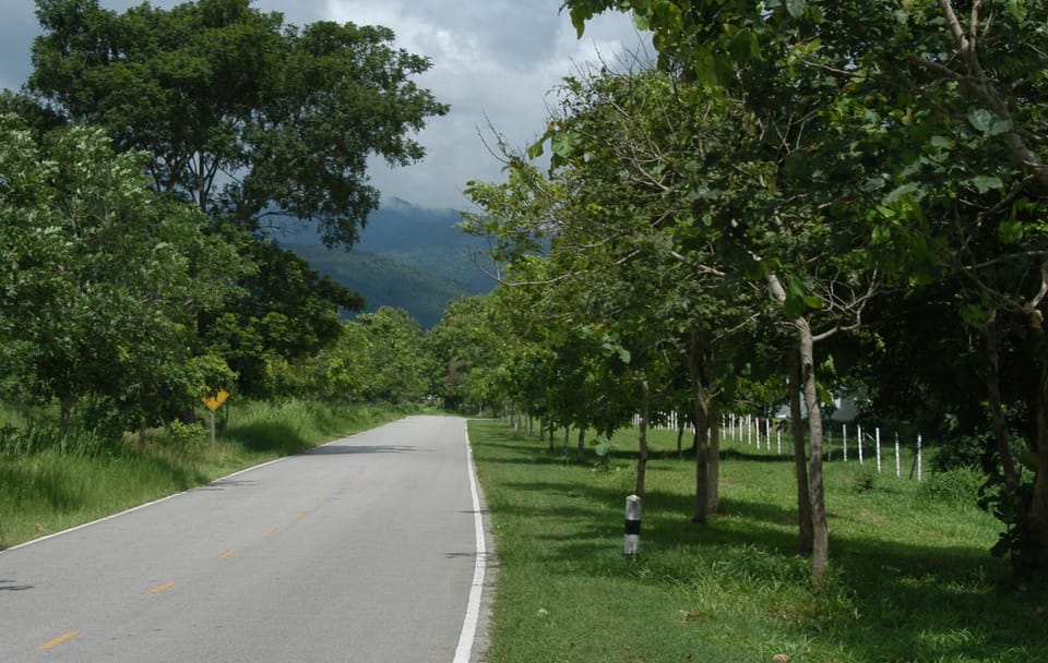 90 km Mountain Bike Tour of Samoeng Mountain Loop, Chiang Mai