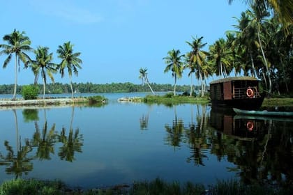 Backwater Bliss: Alleppey Day Cruise with Lunch