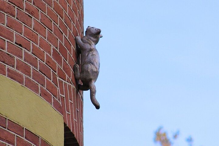 Hidden statue of cat on wall in Amsterdam