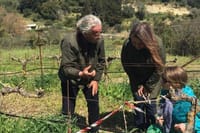 Kefalonia Wine Experience: Sklavos & Haritatos Estates 9