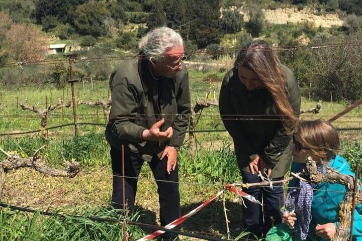 Kefalonia Wine Experience: Sklavos & Haritatos Estates 9