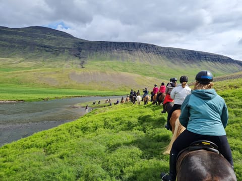 Golden Ride – Day tour in Golden Circle area