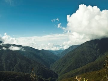 3-Day Wildlife and Adventure Tour in Manu National Park, Peru