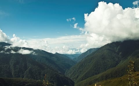 3-Day Wildlife and Adventure Tour in Manu National Park, Peru