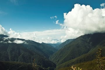 3-Day Wildlife and Adventure Tour in Manu National Park, Peru