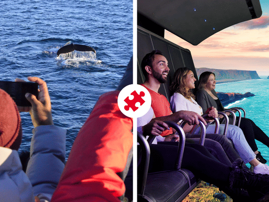 Whales & FlyOver Iceland