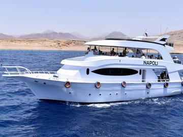 Snorkeling and Dolphin House Tour from Hurghada, Egypt