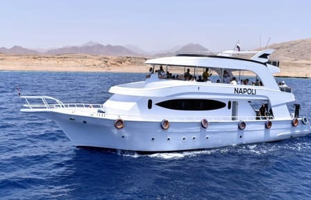 Snorkeling and Dolphin House Tour from Hurghada, Egypt
