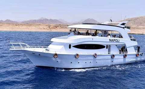 Snorkeling and Dolphin House Tour from Hurghada, Egypt
