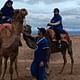 Magical dinner show and camel ride & Quad Bike in Agafay desert