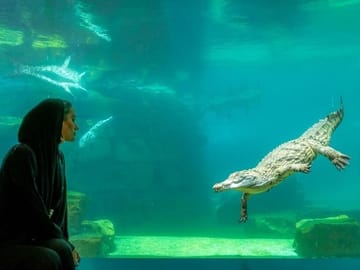 Crocodile Park Entrance Tickets in Dubai, United Arab Emirates