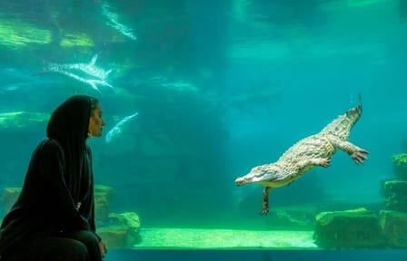 Crocodile Park Entrance Tickets in Dubai, United Arab Emirates