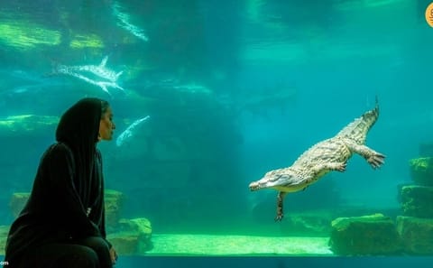 Crocodile Park Entrance Tickets in Dubai, United Arab Emirates